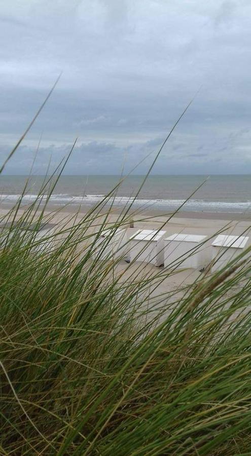 Luxueuze Stacaravan In Bredene Met Eigen Terras En Tuintje エクステリア 写真